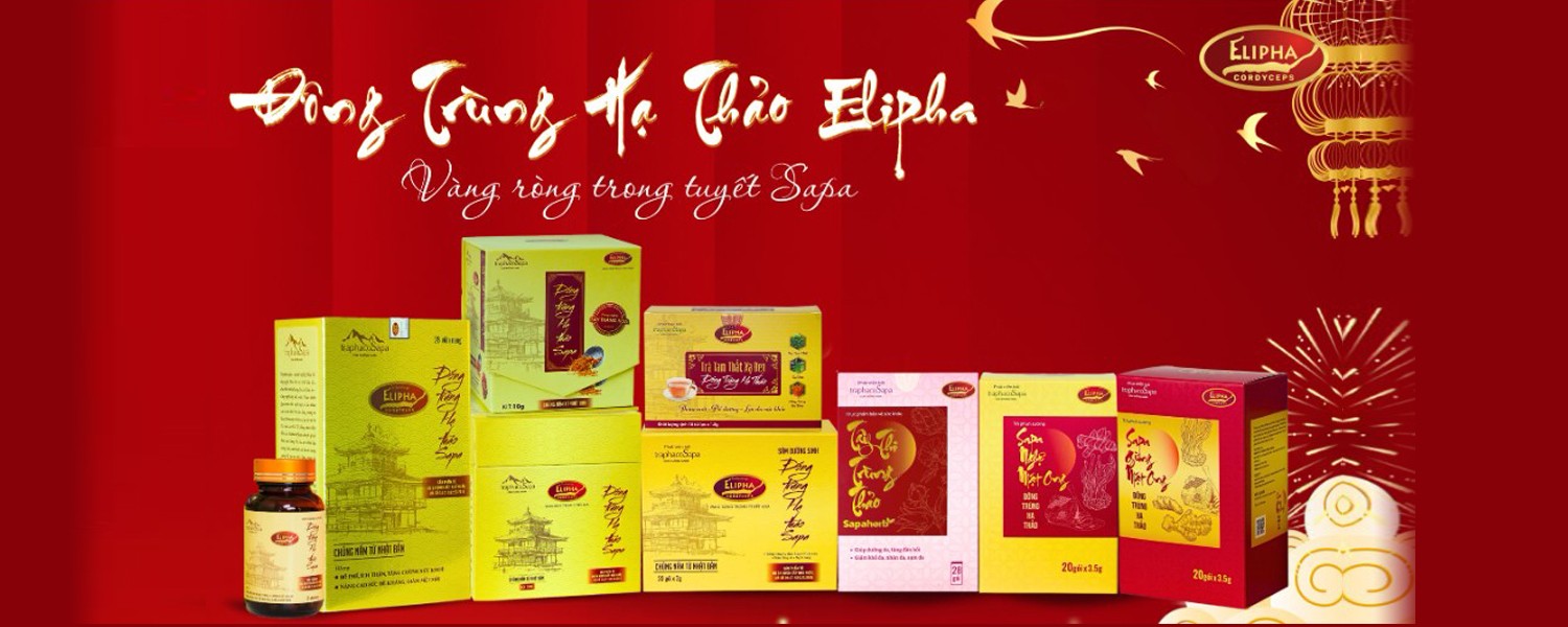 Elipha - Vàng ròng trong tuyết Sapa